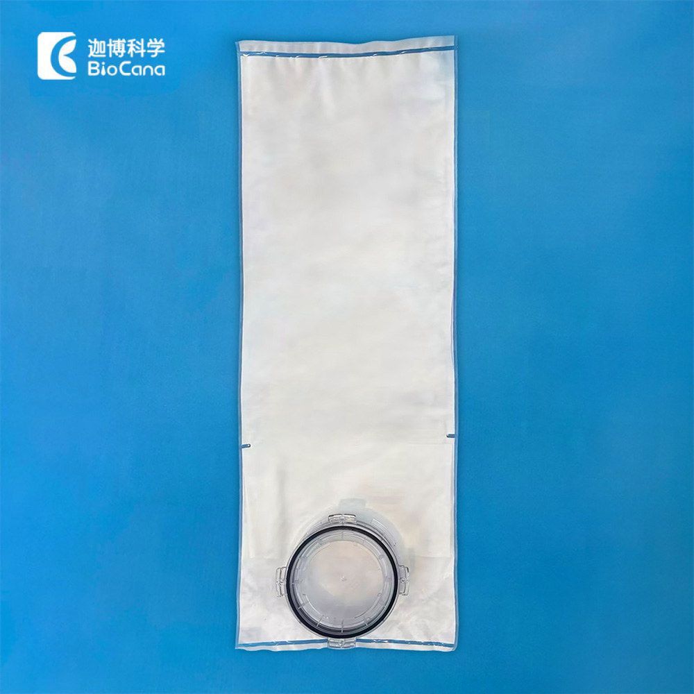 RTP Bag