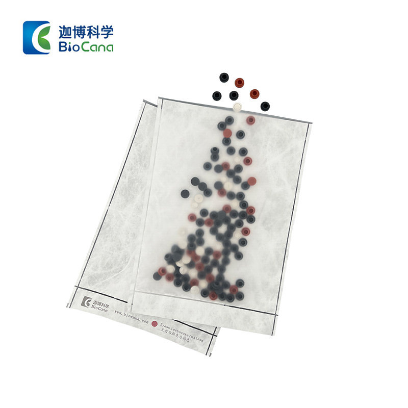 Sterilization Packaging System